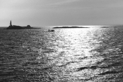 homeward_bound