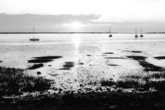 joppa-sunrise