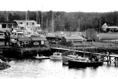 ring-i-warf