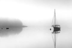 seal-harbor