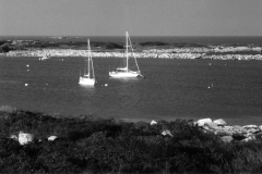 shoals-harbour