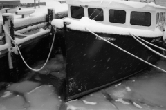 snow-basin-tie