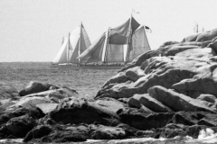 sail-para-10