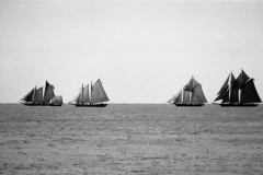 sail-para-14