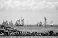 sail-para-7