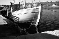 sardi