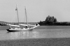 schooner-maine-1