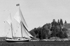 schooner-maine-4