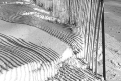 beach_fence