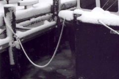 first_snow