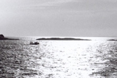 heading_home