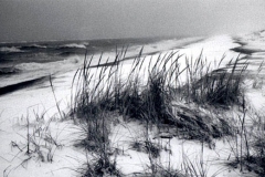 northeaster
